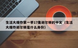 生活大爆炸第一季17集谢尔顿的中文（生活大爆炸谢尔顿是什么身份）