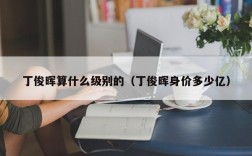 丁俊晖算什么级别的（丁俊晖身价多少亿）