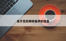 关于范尼斯特鲁伊的信息