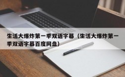 生活大爆炸第一季双语字幕（生活大爆炸第一季双语字幕百度网盘）