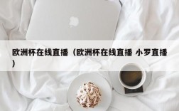 欧洲杯在线直播（欧洲杯在线直播 小罗直播）