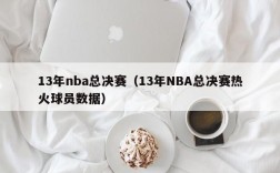 13年nba总决赛（13年NBA总决赛热火球员数据）